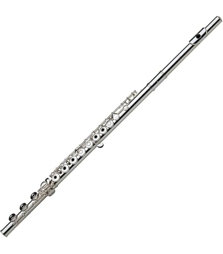 Amazon | Armstrong Model 104 USA Student Flute Standard | フルート